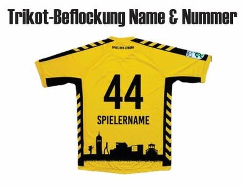 Bregenz Handball Druck Name Nummer